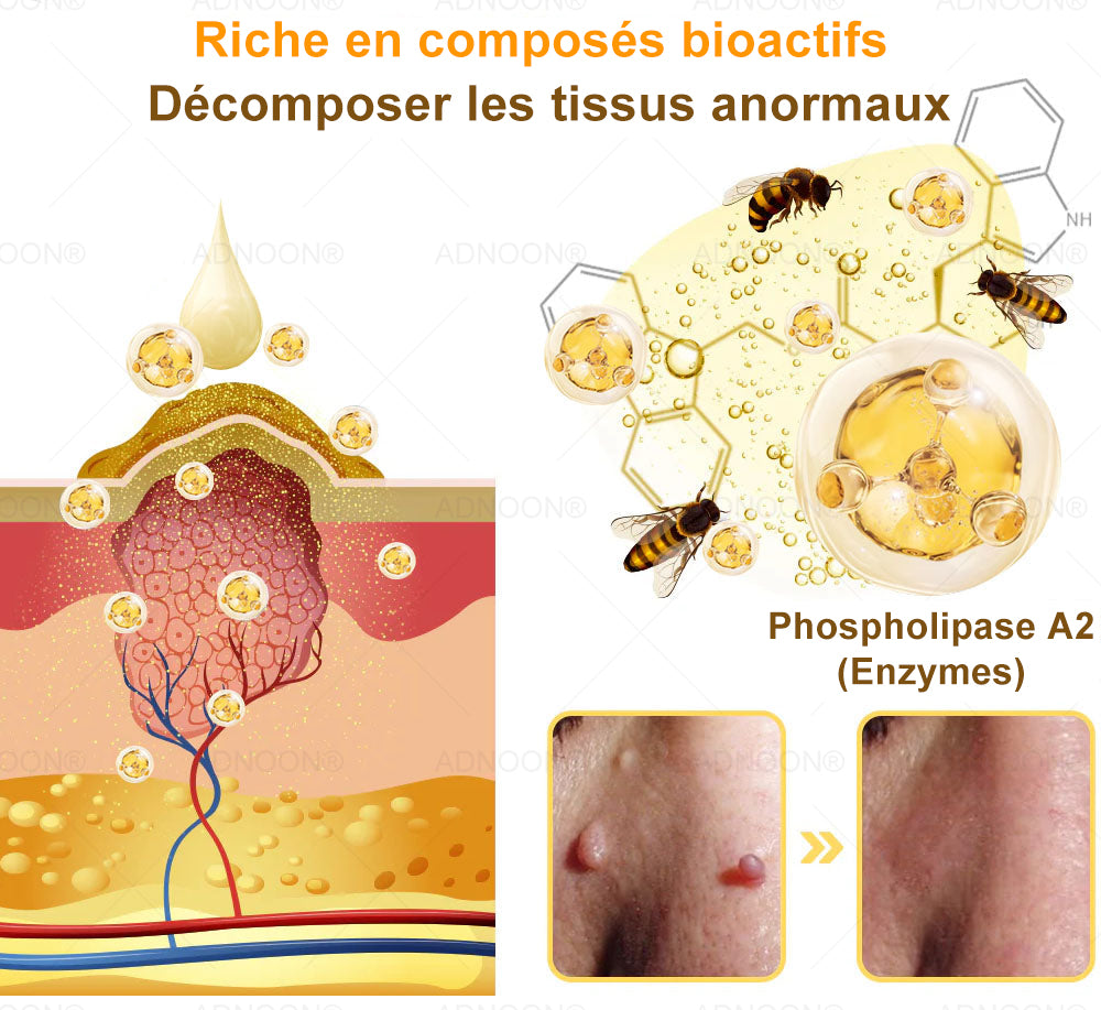 ADNOON® 🌼 Crème Multifonction 7-en-1 — Soutien professionnel fourni par la Société Française de Dermatologie (SFD) 👨‍⚕️