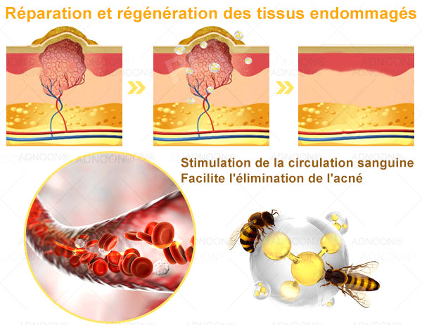 ADNOON® 🌼 Crème Multifonction 7-en-1 — Soutien professionnel fourni par la Société Française de Dermatologie (SFD) 👨‍⚕️